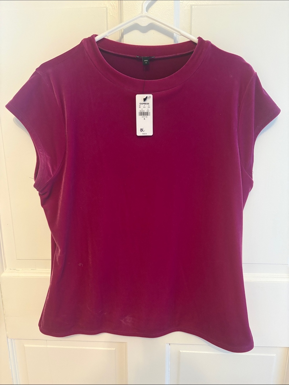 Express Short Sleeve velvet Crewneck Top - Raspberry Pink